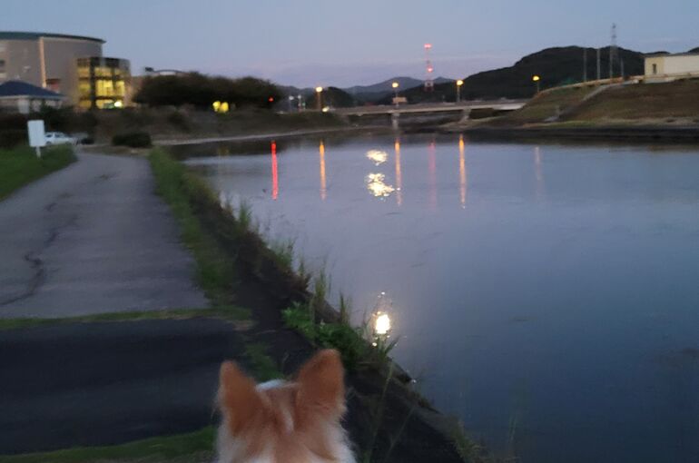 20221008_181616