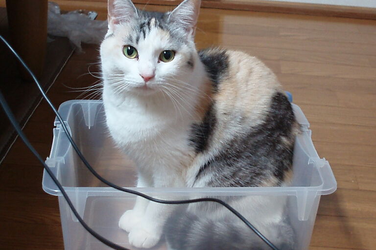 08.2.24